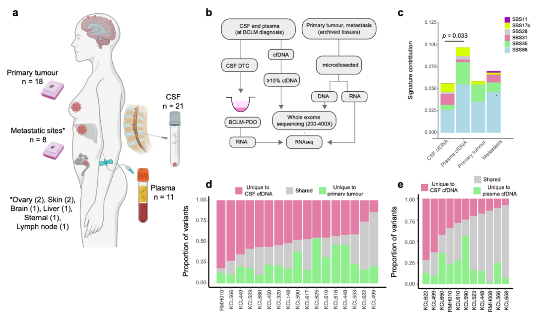 Nature子刊：患者来源的类器官，为乳腺癌脑转移带来新见解